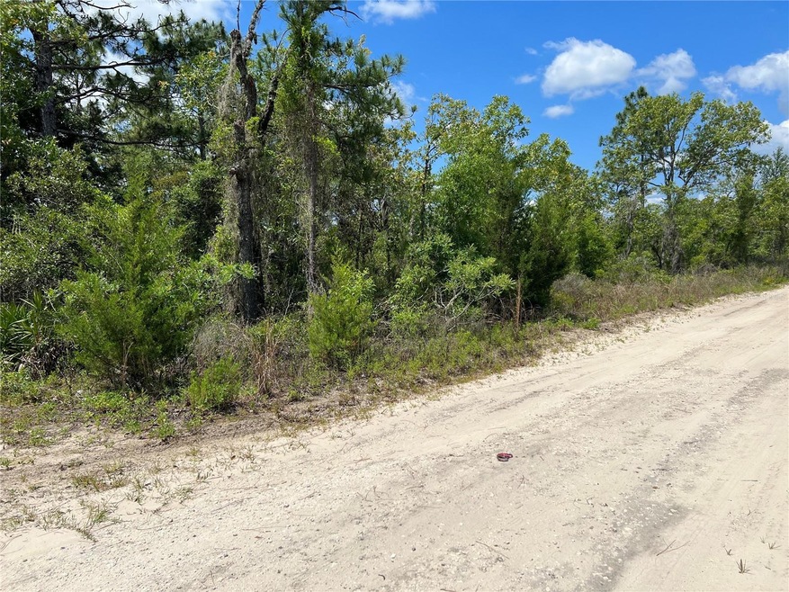 0 NE 66th Ln unit MFRO6262642, Williston, FL 32696 - photo 1