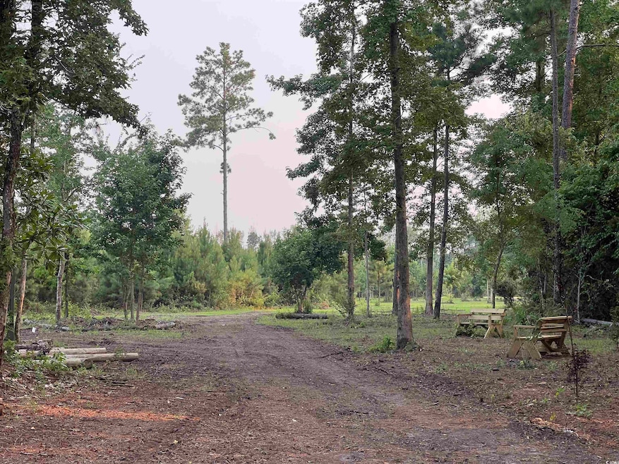 View of undeveloped land