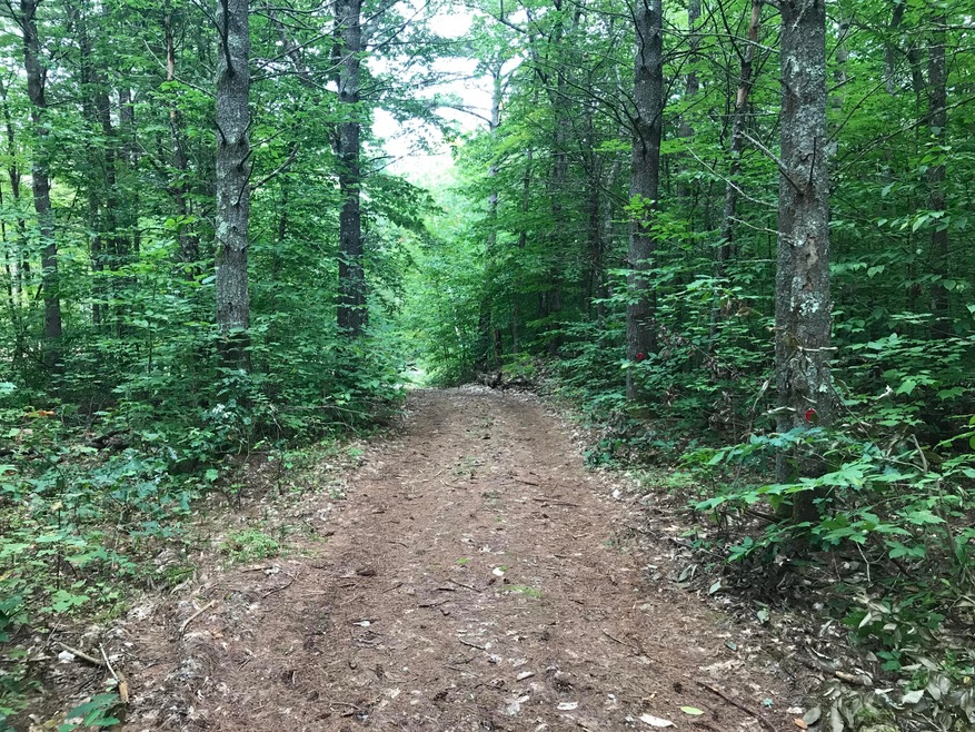 312 Asbury Ln, Acton, ME 04001 - photo 1