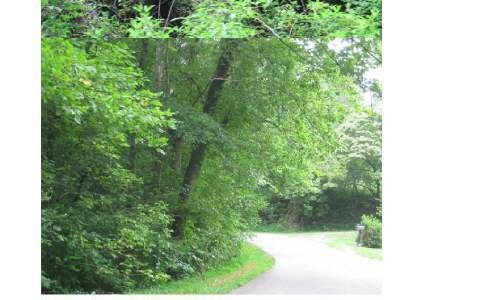 5 AC Rose Petal Ln, Ellijay, GA 30540 - photo 1