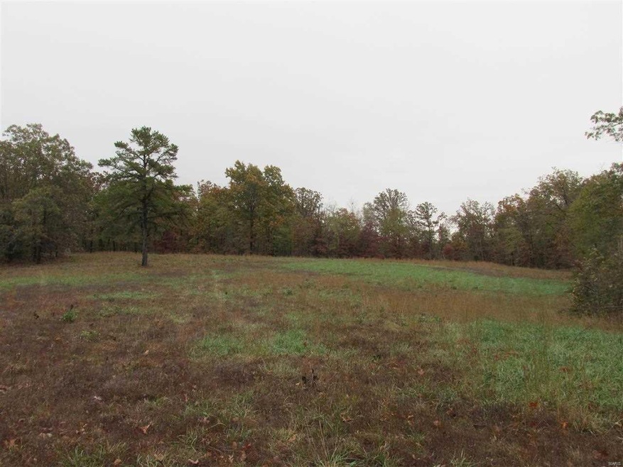 0 Tract 3-10 Cr 4762 unit 9934373, Poplar Bluff, MO 63901 - photo 1