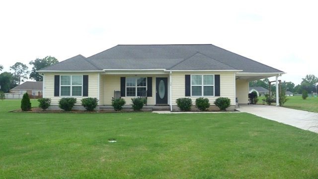 Main View