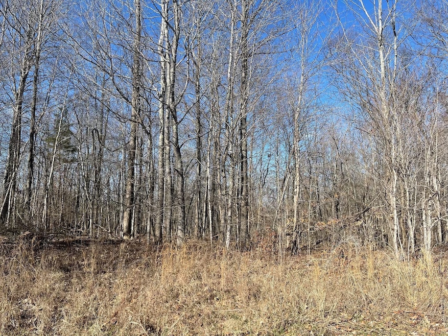 0 Chandler Rd unit RTC3045151, Woodlawn, TN 37191 - photo 1