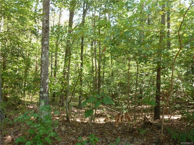 Welcome to Lot 10 Salvia Rd.