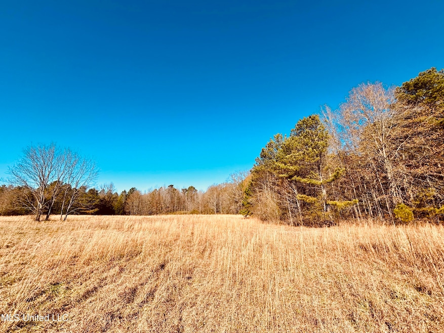 0 Mississippi 12, Durant, MS 39063 - photo 1