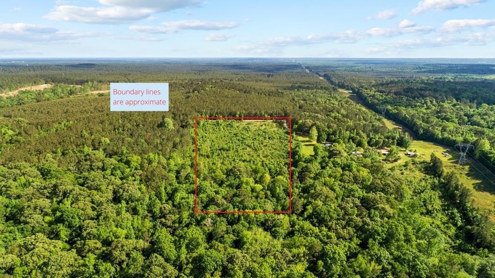 317 Hidden Leaf Trail, Nacogdoches, TX 75964 - photo 1