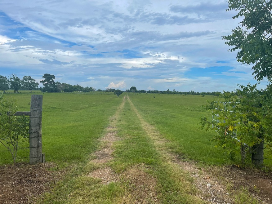 16620 Penick Rd, Waller, TX 77484 - photo 1
