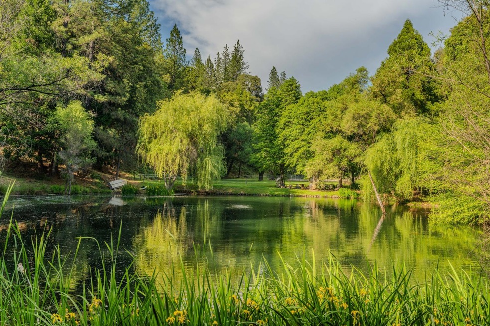 unlisted-address, Fiddletown, CA 95629 - photo 1