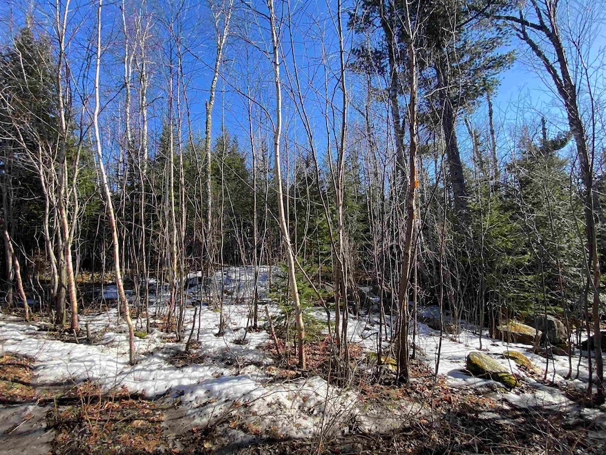 XXD Pine Peak Rd, Lutsen, MN 55612 - photo 1