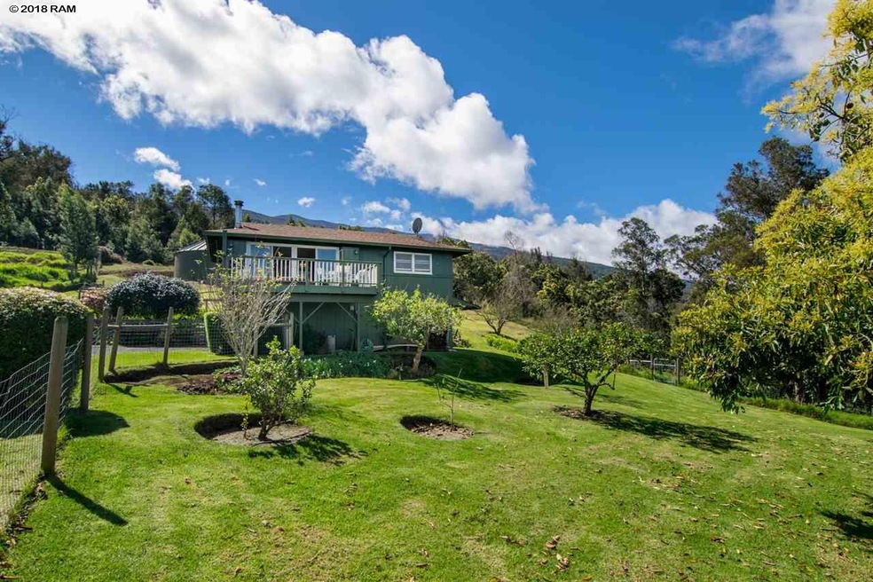 594 Hapapa Rd, Kula, HI 96790 - photo 1