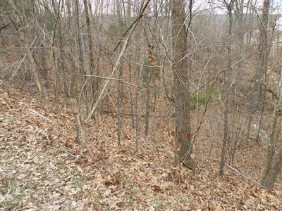 0 Binkley Ln unit 1100485, Bloomfield, KY 40008 - photo 1