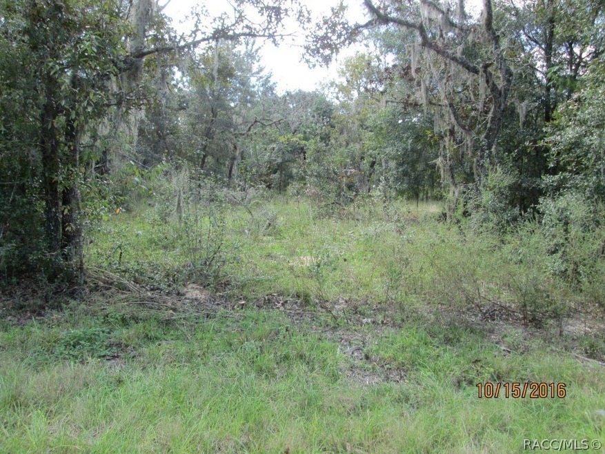 1666 E Sheridan Ln, Hernando, FL 34442 - photo 1