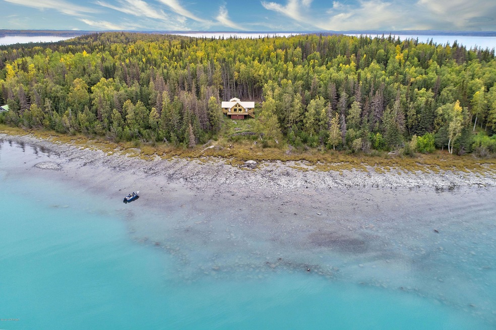 Caribou island