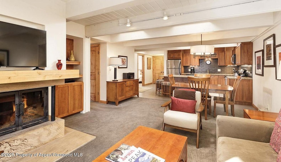 901 E Hyman Ave unit 13, Aspen, CO 81611 - photo 1