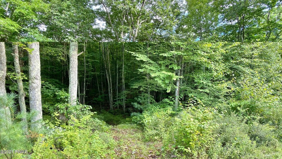 Lot 9 Blue Heron Way, Hawley, PA 18428 - photo 1