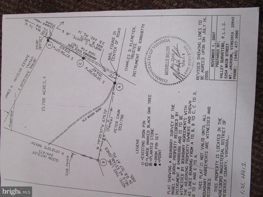 0 Brannon Ford Rd, Gainesboro, VA 22603 - photo 1