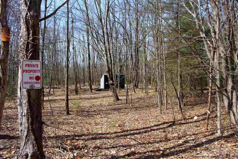 Parcel 1 Ridgeview Rd, Rochester, NY 12446 - photo 1