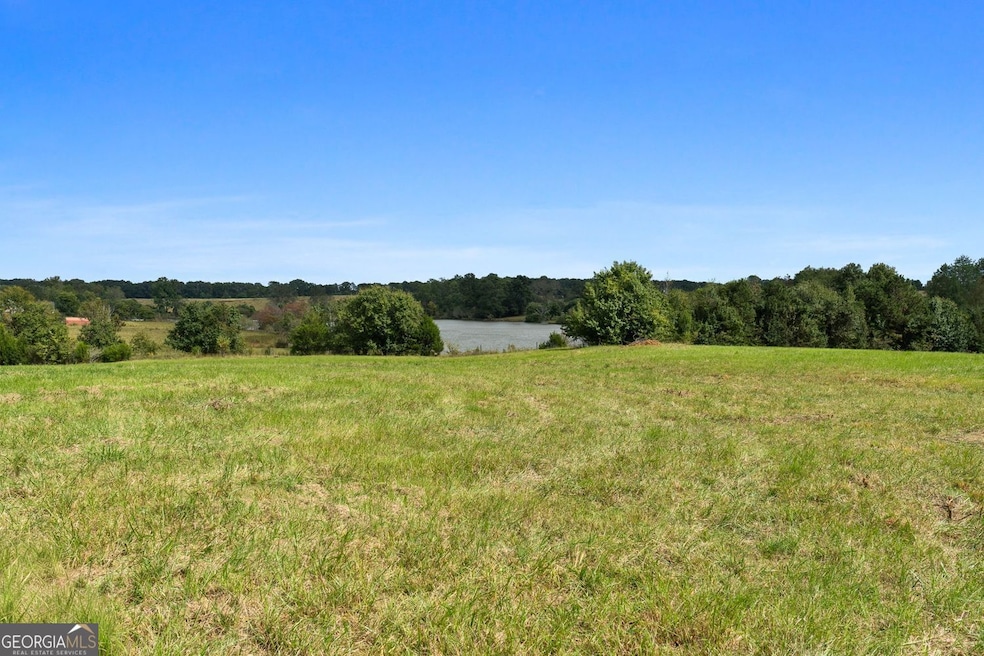 61 ACRES Barnesville Hwy, the Rock, GA 30285 - photo 1