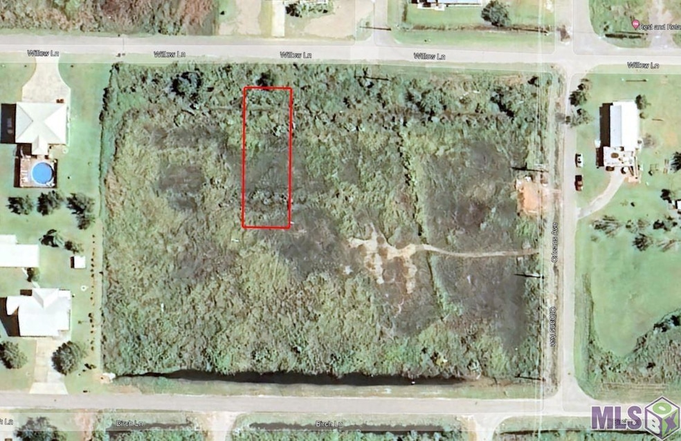 Lot 6, Block 5 Willow Ln, Grand Isle, LA 70358 - photo 1