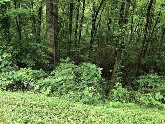 0 Lakeview Dr unit 6666984, Commerce, GA 30529 - photo 1