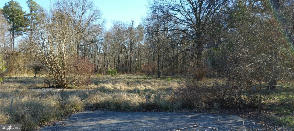 11611 Prospect Hill Rd, Glenn Dale, MD 20769 - photo 1