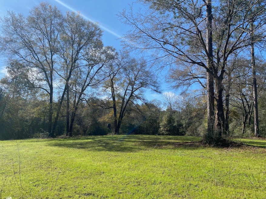 County Road 2- Covington County unit AL, Wing, AL 36483 - photo 1