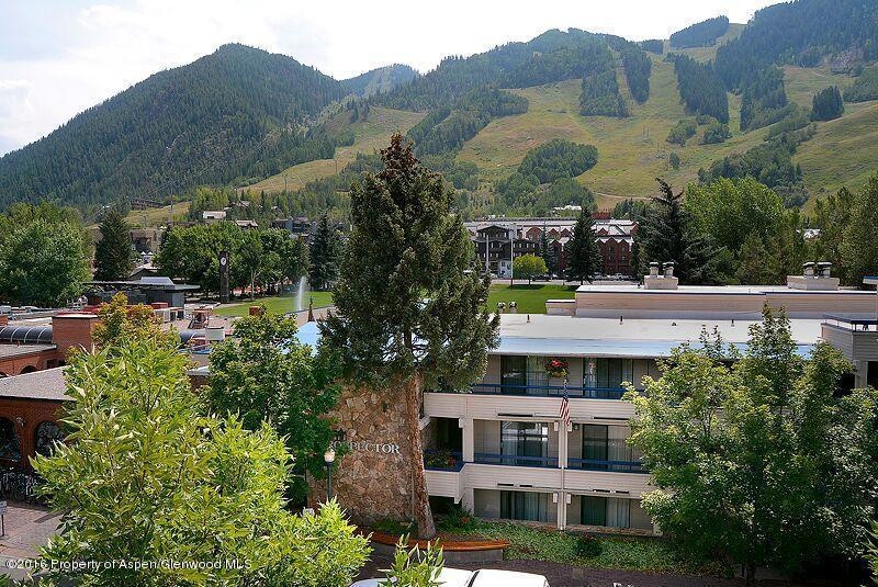 301 E Hyman Ave unit 205 (Wks 5, 6 & 11), Aspen, CO 81611 - photo 1