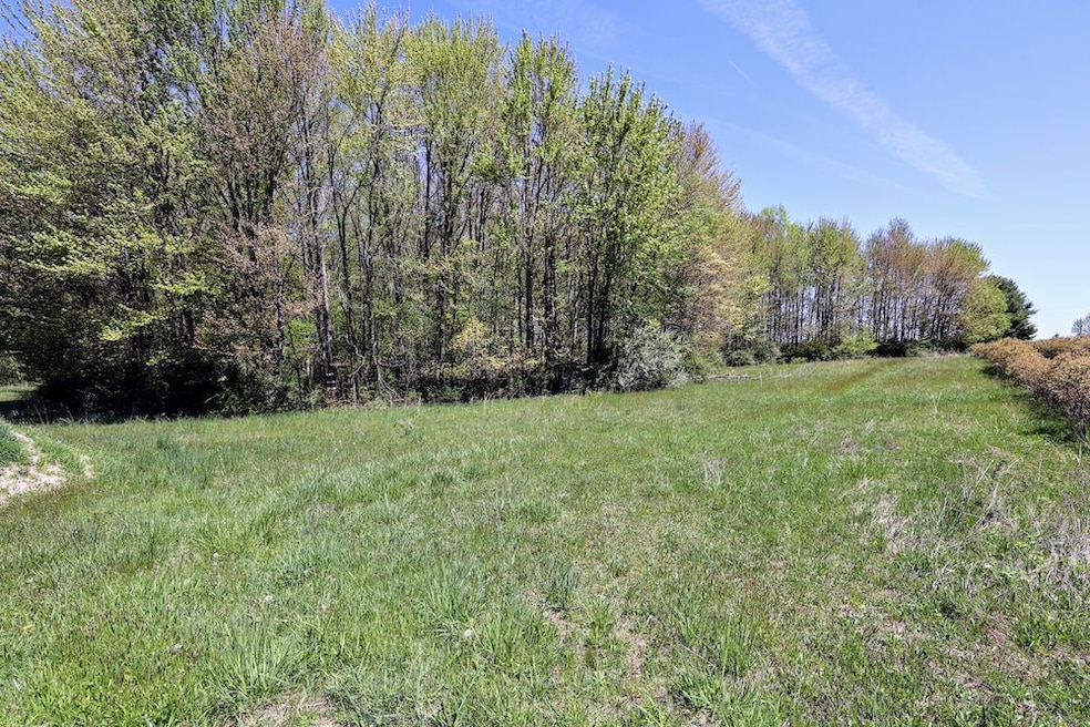 59371 4th Ave Lot unit WP001, Grand Junction, MI 49056 - photo 1