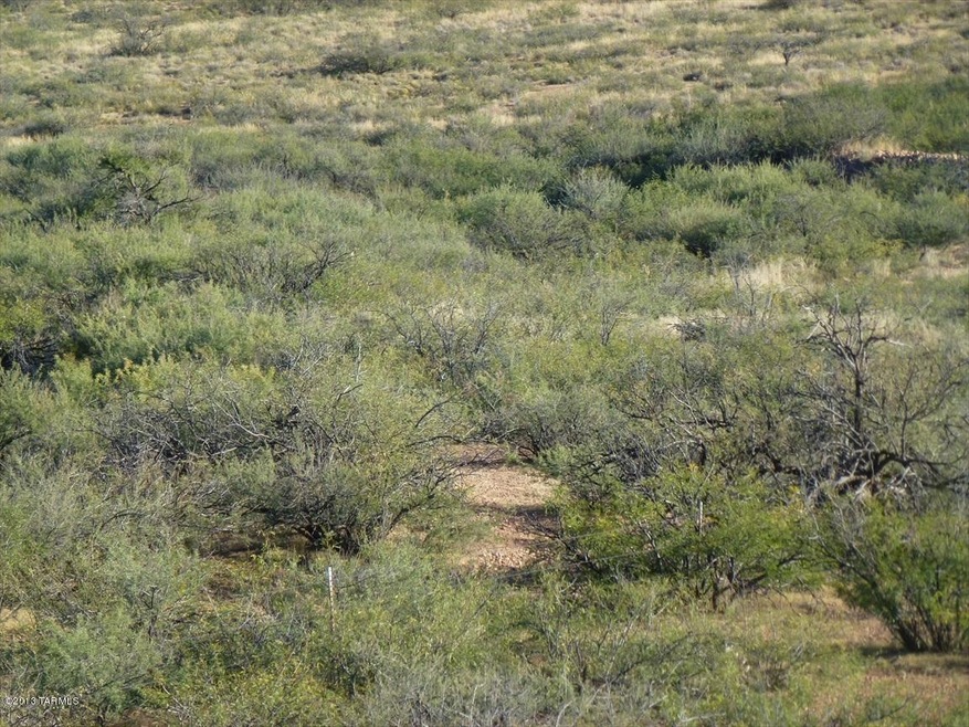 A wash runs through property