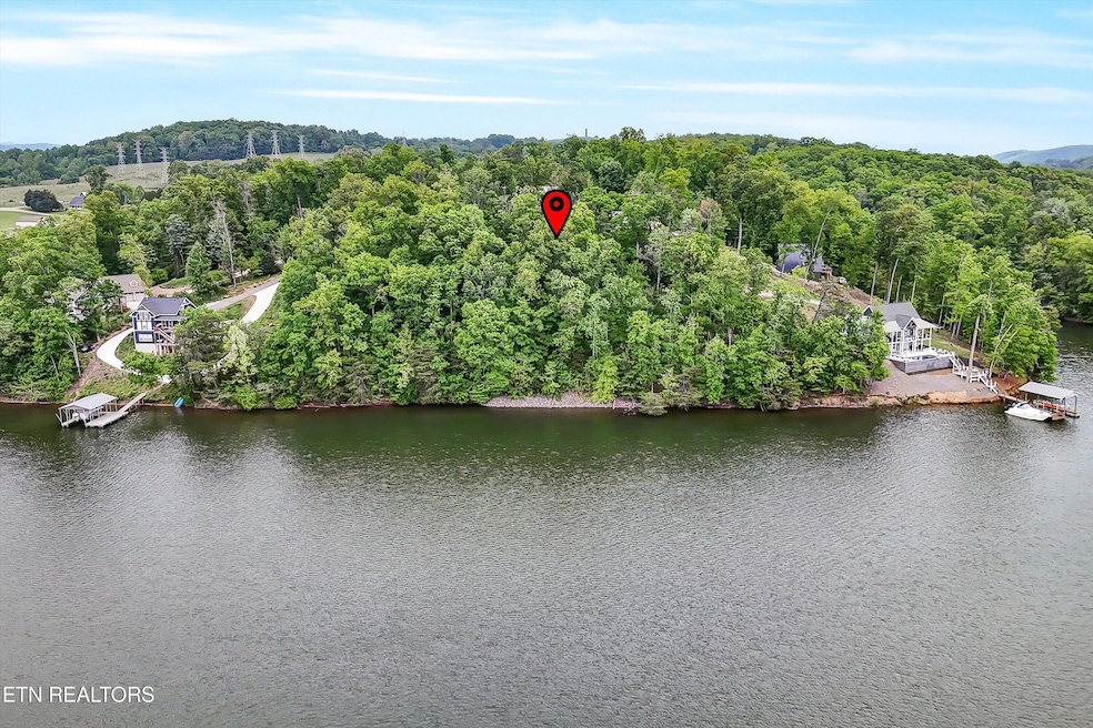 Lot 23
