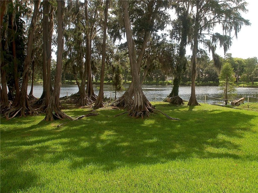 Tranquil View