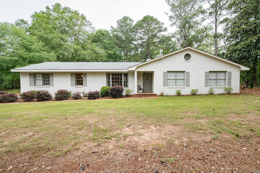 10109 County Line Rd, Midland, GA 31820 - photo 1