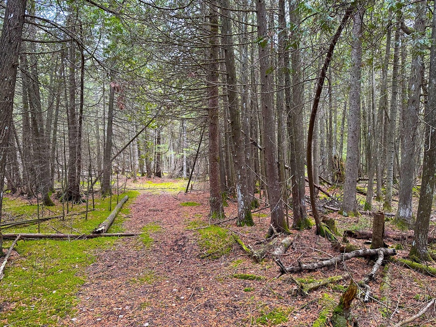 trails-in-interior-2