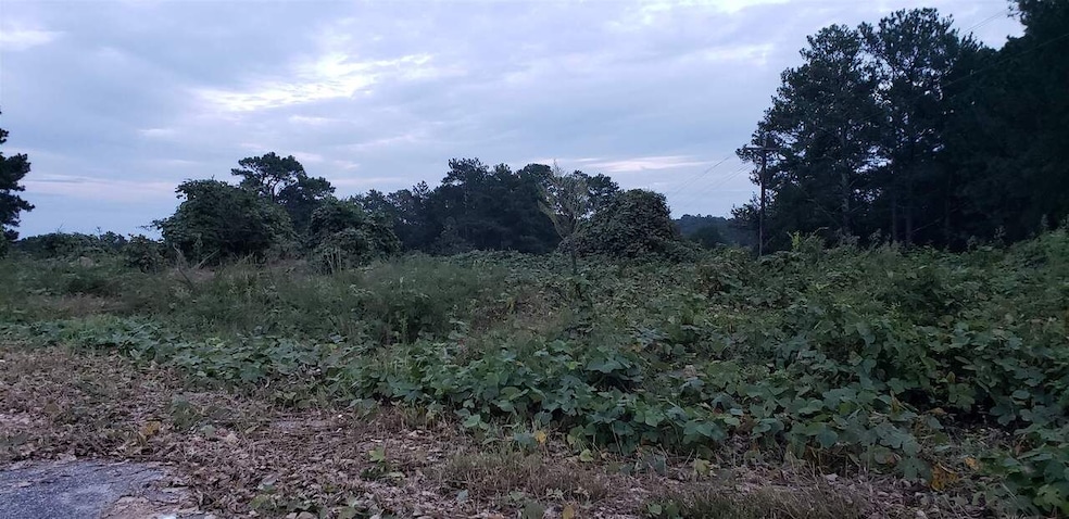 2463 Lake Rockaway Rd NW, Conyers, GA 30012 - photo 1