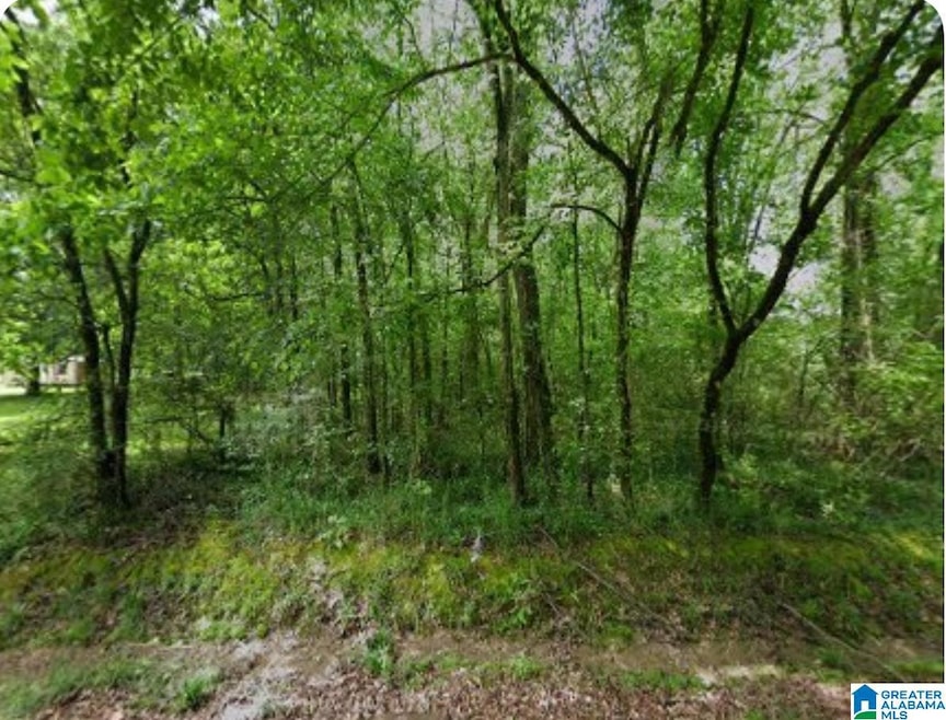 2602 Pratt St, Bessemer, AL 35228 - photo 1