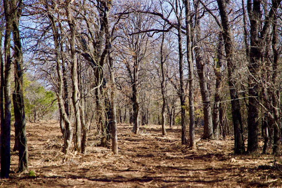 Tract 7 County Rd 4461, Decatur, TX 76234 - photo 1