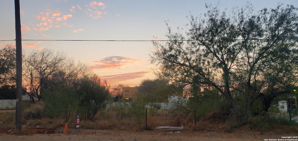 403 S Front St, Cotulla, TX 78014 - photo 1