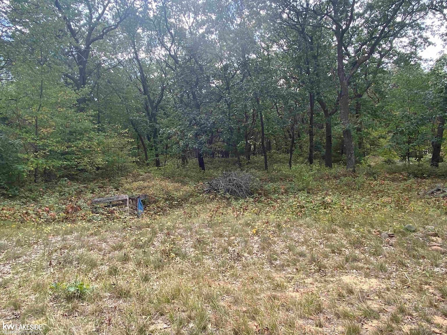 00 Port Austin Rd, Caseville, MI 48725 - photo 1