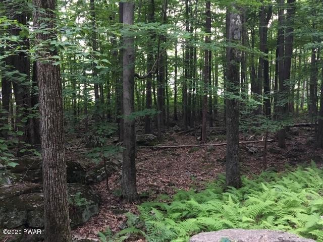 Lot 20 E Shore Dr, Lords Valley, PA 18428 - photo 1