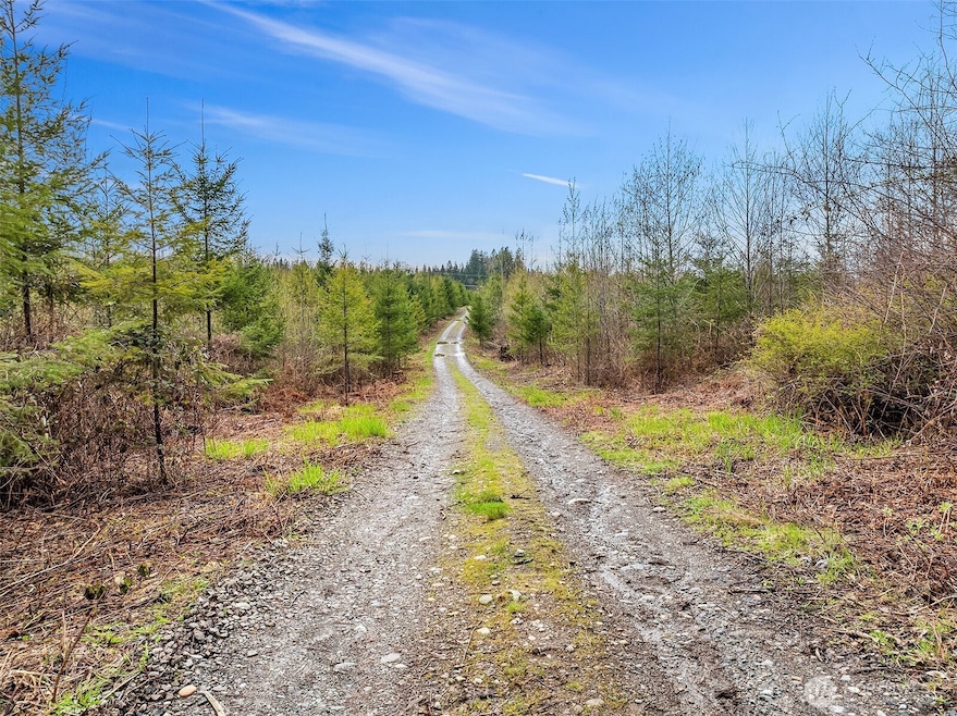 11 xx 344th Ave NE, Carnation, WA 98014 - photo 1