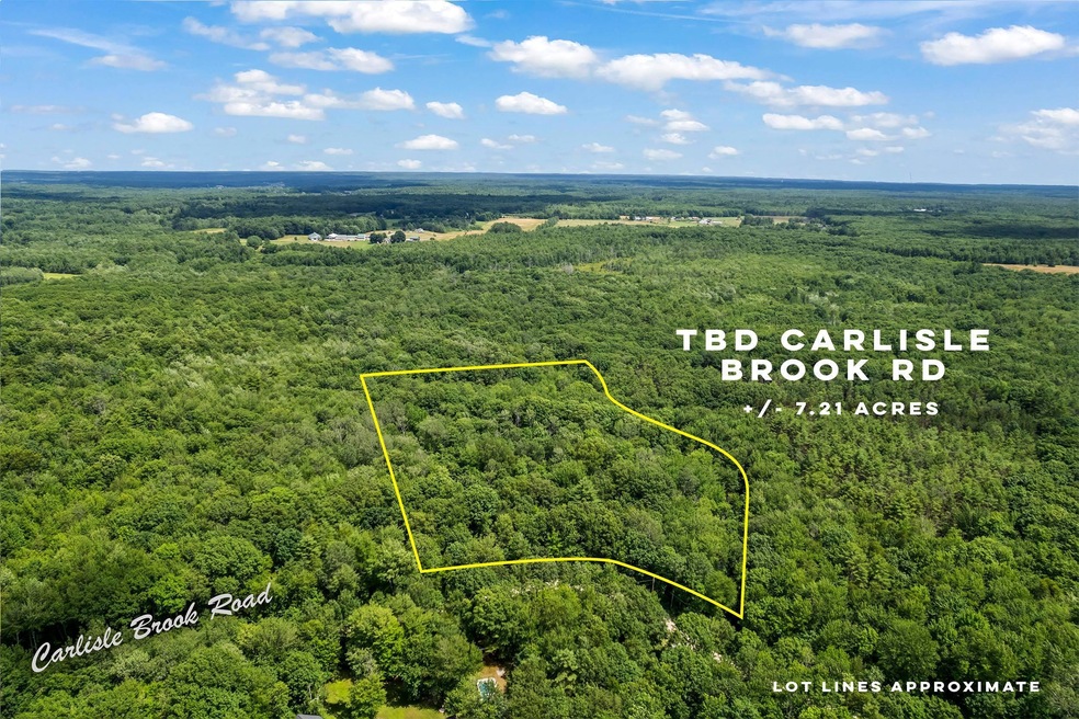 TBD Carlisle Brook Rd, Lyman, ME 04002 - photo 1