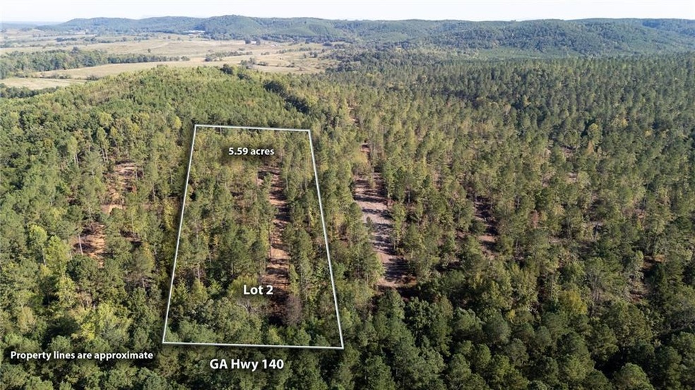 3789 Hwy 140 NE, Rydal, GA 30171 - photo 1
