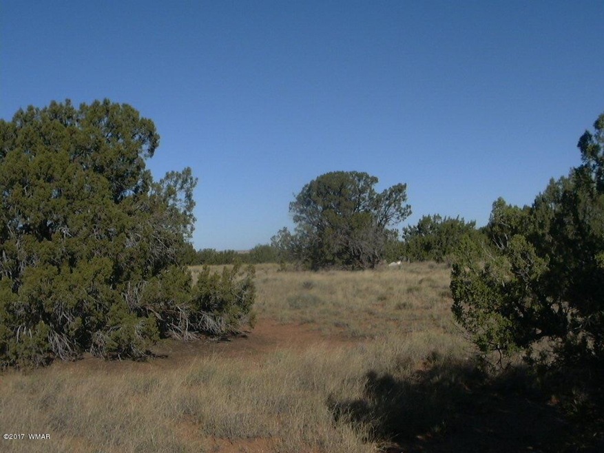 P1090284