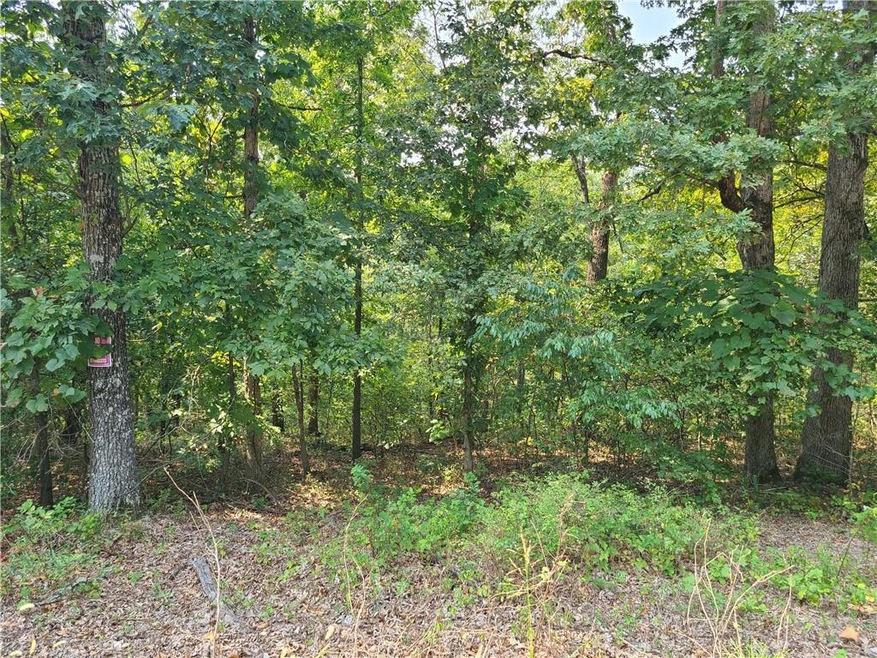 0 Wembly Cir, Bella Vista, AR 72715 - photo 1