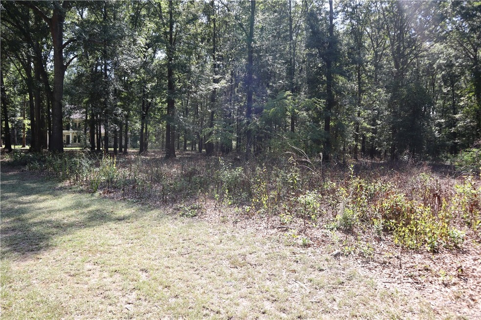 110 Shadow Moss, Eufaula, AL 36027 - photo 1