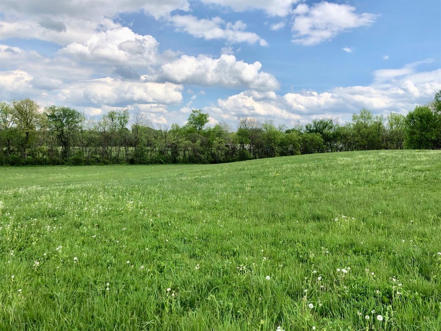 135 Tewmey Ln, Harrodsburg, KY 40330 - photo 1