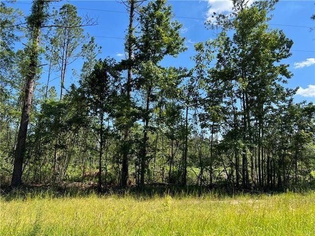 Lot 11 Walker Ferry Rd, Pollock, LA 71467 - photo 1