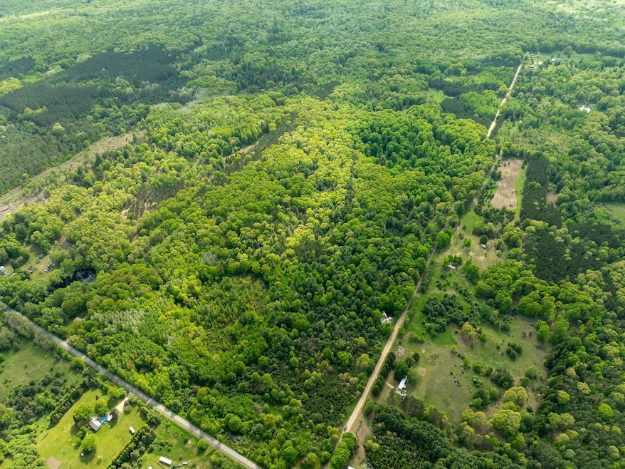 0 S Deer Lake Rd, Reed City, MI 49677 - photo 1