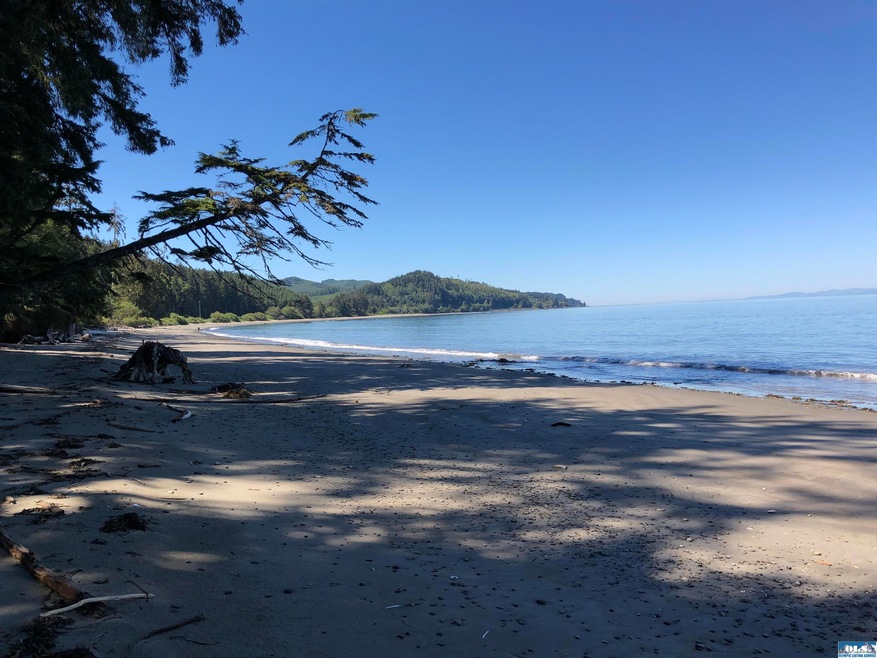 Drink in the beautiful Washington Coastline!