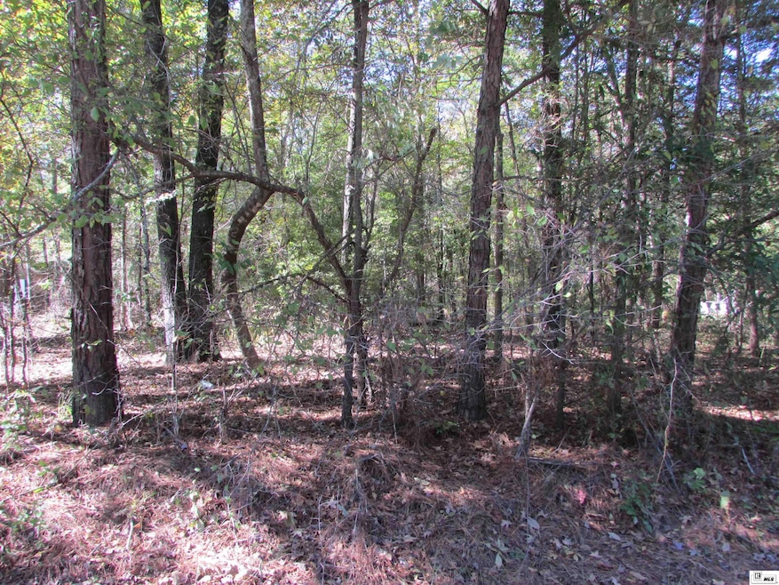 0 Oklahoma St, Bastrop, LA 71220 - photo 1